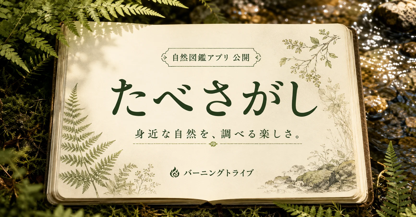 たべさがし。身近な自然を、調べる楽しさ。自然図鑑アプリ公開。バーニングトライブ。